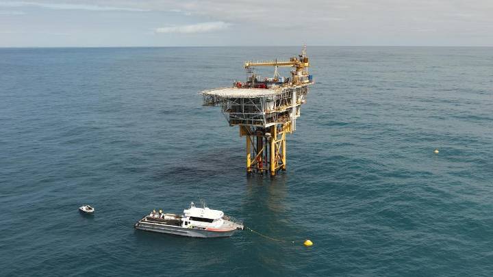 Fishing industry furious as WA approves seismic blasting off Mid West coast despite marine life impact fears
