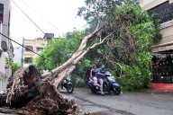 Cyclones, Including Latest Montha, Worsens Green Cover in North Andhra