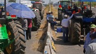 “No hay acuerdo por el precio del maíz": productores y agricultores desmienten a Julio Berdegué