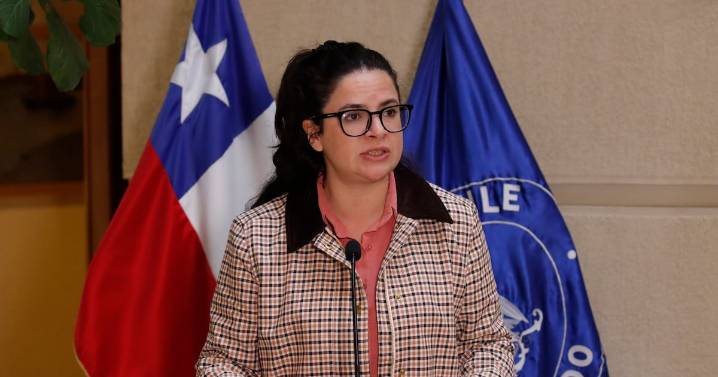 Ministra Orellana afirma que el Sernameg no se puede querellar en caso Julia Chuñil al no haber antecedentes de femicidio