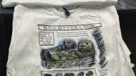 Liberty Graphics teams up with Monterey Bay Aquarium to save sea otters, with help from Taylor Swift