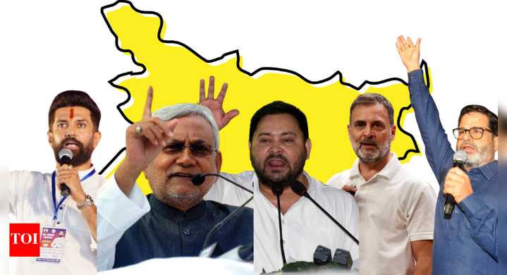 Bihar elections 2025: The key players and what's at stake for them