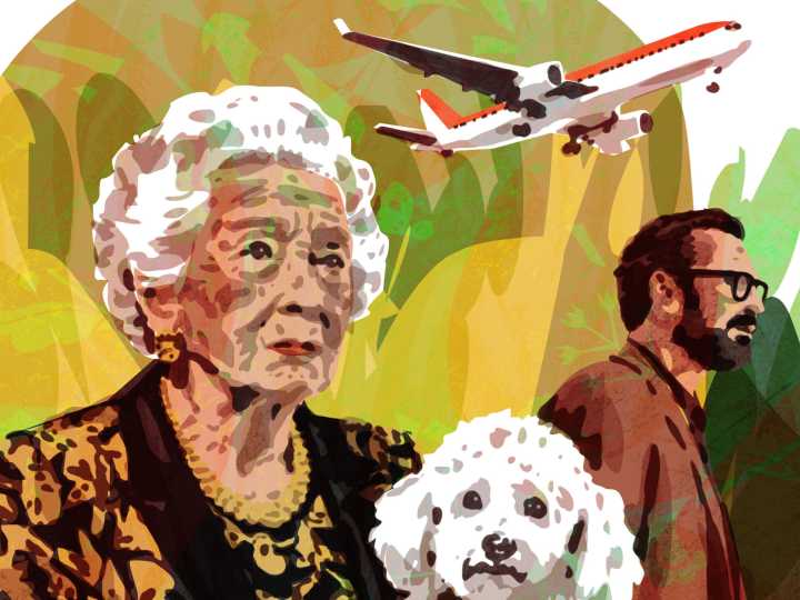 La nueva historia de Marcelo Birmajer: El accidente