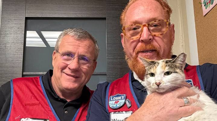 Missing Lowe’s cat returns to Virginia store: ‘She’s part of our family’