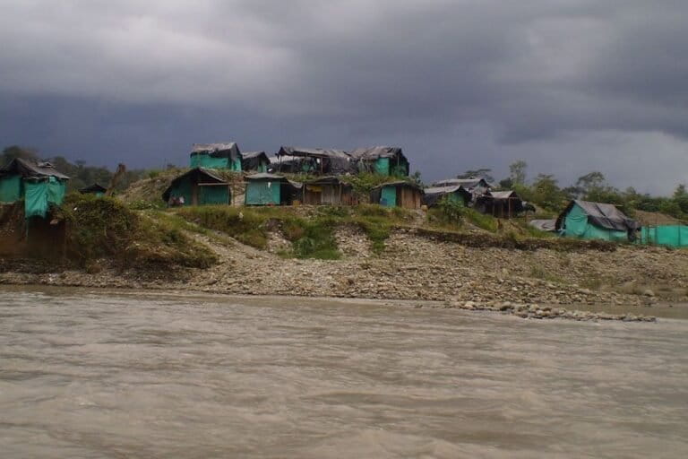 Amid systemic corruption, Amazon countries struggle to fight environmental crime