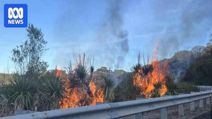 Man accused of lighting Mount Gambier Valley Lake bushfire while wearing mask and cape denied bail