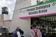 Zoológico de Tulancingo: ¿Cuántos animales alberga el parque recreativo?
