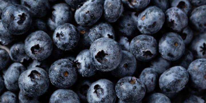 Cuáles son las propiedades antioxidantes de la mora azul