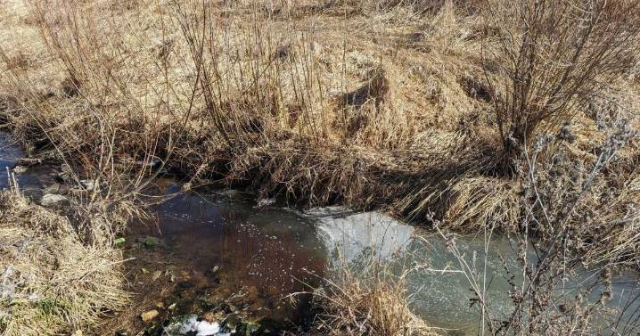 Iowa officials quietly fast-tracked settlement with major meatpacker, environmental group alleges