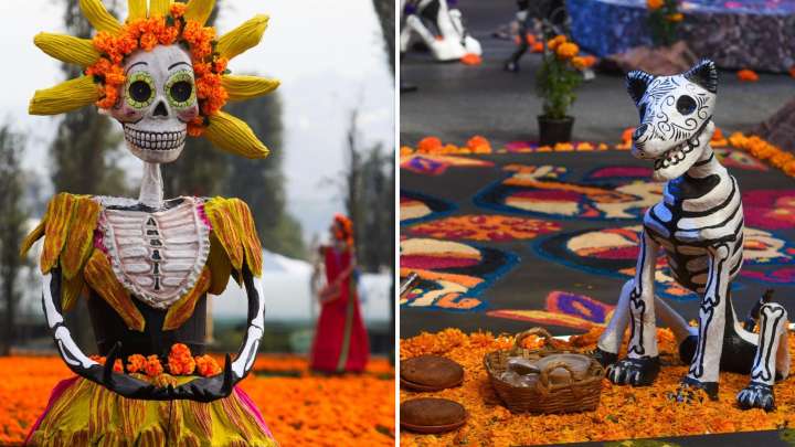 Día de Muertos 2025 en CDMX: ¿En Qué Alcaldías Habrá Ofrendas Monumentales y Horarios de Visita?