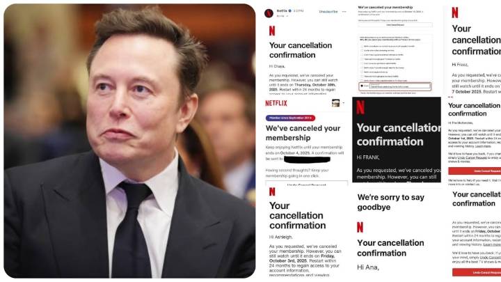 Furor en redes sociales: Elon Musk eliminó Netflix y causó una ola de saboteo a la plataforma de streaming, ¿por qué lo hizo?