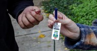 Plastic Whistles Turn into Tools of Defiance Against ICE Raids in Chicago