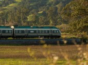 Viajaba en tren, sacó la cabeza por la ventanilla y murió: multaron a la empresa ferroviaria