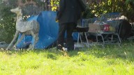 Homelessness organizations, mayor's office hope to meet soon to finalize pilot plan