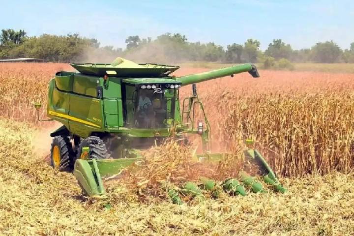 Gobierno fija precio del maíz blanco en 6 mil 50 pesos por tonelada tras bloqueos de productores en 17 estados