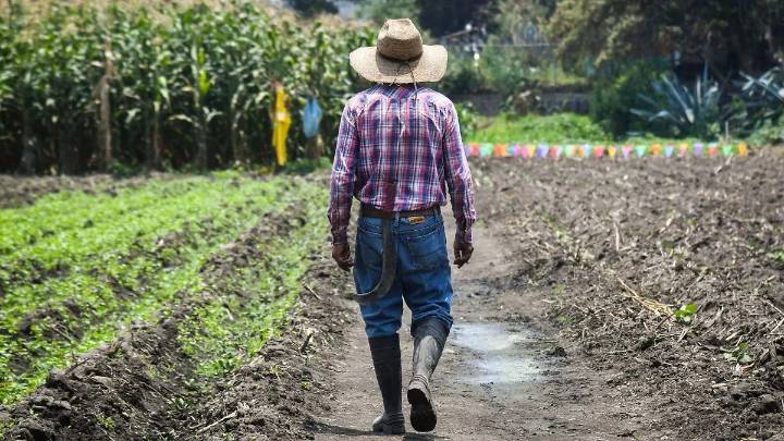 Agricultores del Edomex piden precios justos para el maíz y la tortilla