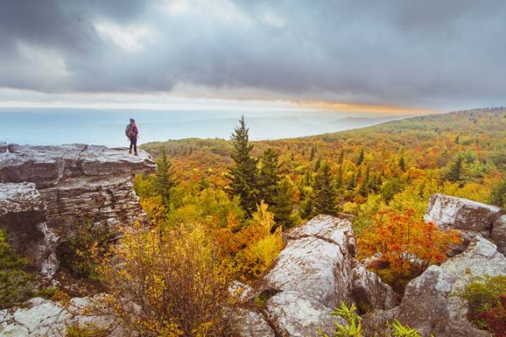 West Virginia is guiding leaf peepers to the state’s most vibrant fall colors