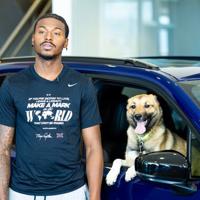 PACC offers free adoptions and $25 voucher for large dogs this month