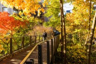 Agenda de eventos: qué hacer en Nueva York del 2 al 8 de octubre