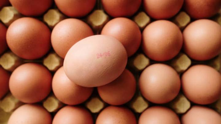 Ni la gripe aviar ni la inflación: la OCU exige investigar el verdadero motivo de la subida del 137% en el precio del huevo