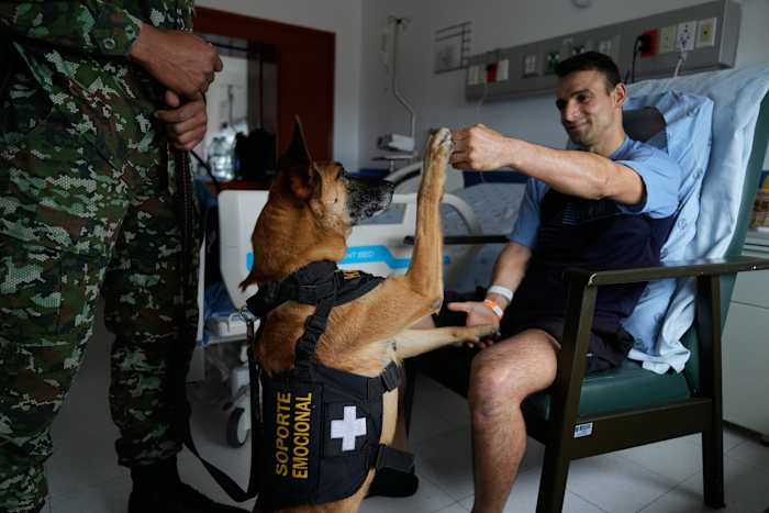 Colombian soldiers find solace in 'furry force' emotional support dogs