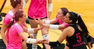Wolverines win Great Basin district volleyball tournament