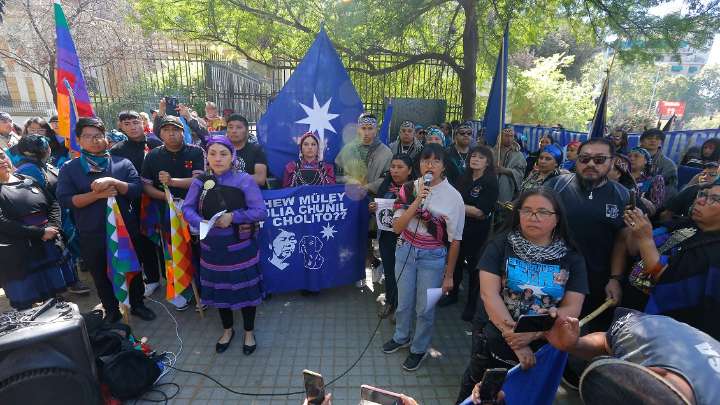 Familia de Julia Chuñil protestó en Santiago: "La asesinaron por proteger bosque nativo"