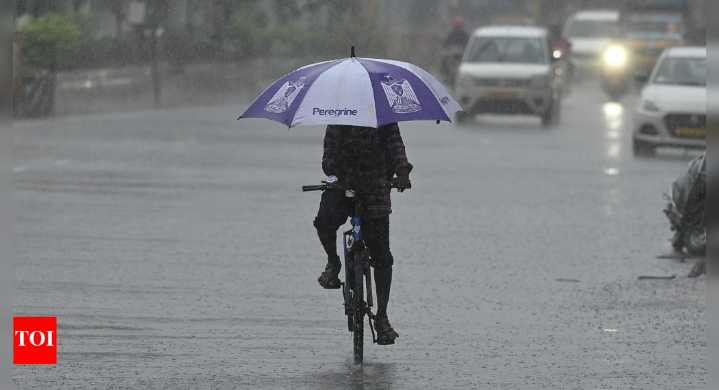 Tamil Nadu Rains: Chennai on orange alert, schools shut; 4 districts brace for possible cyclone