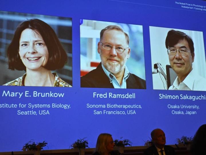 Seattle scientist among medicine Nobel Prize winners for work on peripheral immune tolerance