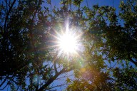 Las Vegas weather: This week the highest temperature forecast is 82 degrees.