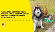 'La cagada es no recoger': Bogotá lanza campaña para que los dueños de mascotas sean más responsables