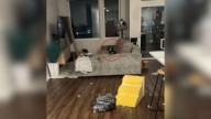 In Only 10 Minutes, This Wisconsin Pup Turns Everything Upside Down And Shocks Owner