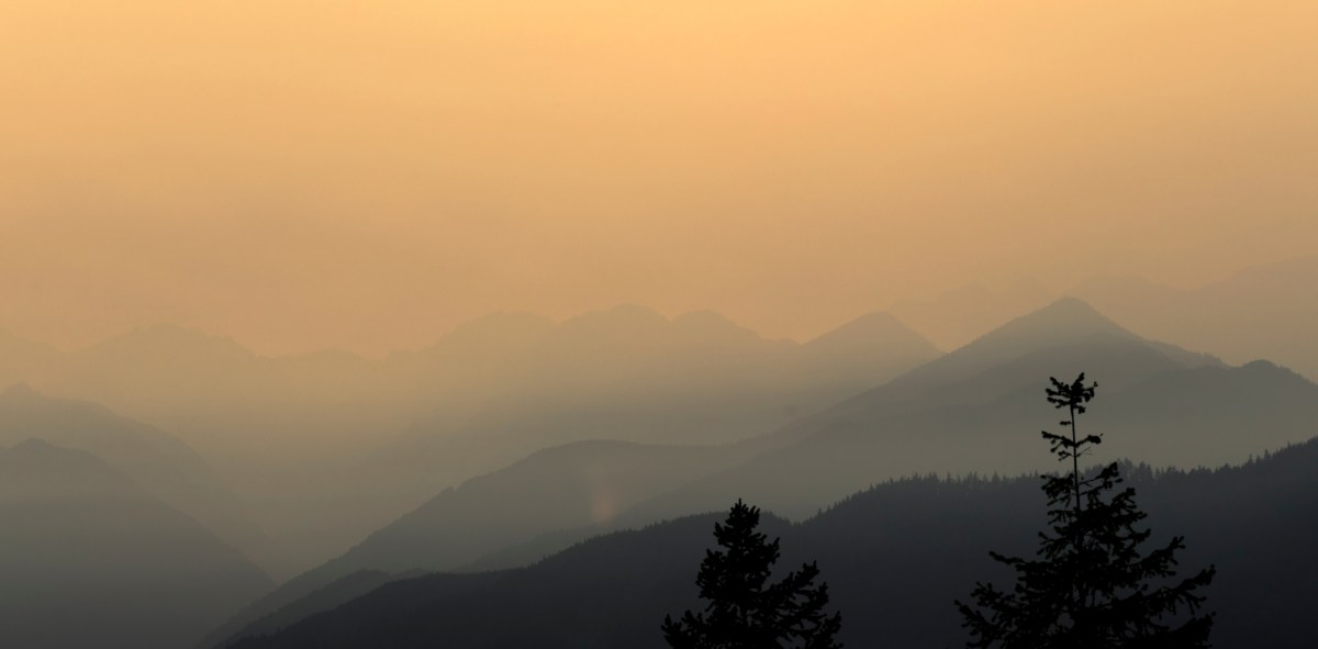 Humo de incendios forestales reduce la calidad del esperma, revela reciente estudio