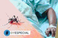 Dengue en Yucatán, al alza: un enfermo consulta cada hora y media