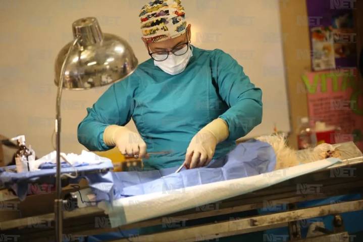 Habrá jornada de esterilización en el Jarudo y KM 20