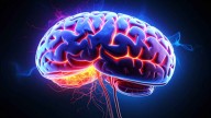 Study shows earlier menopause, poor heart health can affect brain