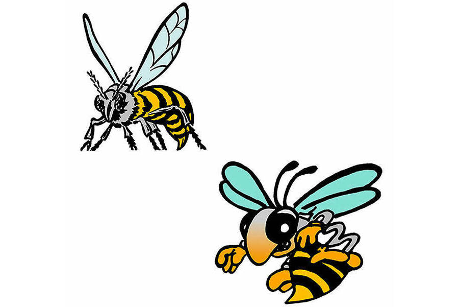 EHS’ Gisa, Stuenkel compete in tennis doubles for slot in state