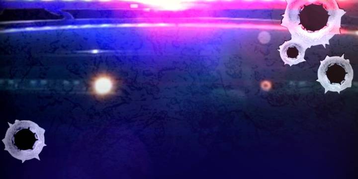 Businesses, vehicle damaged by gunfire