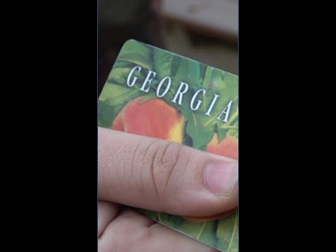 Georgia seniors are struggling to access SNAP benefits months after 'cyberattack'