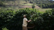 Change is brewing in the coffee industry. What lies ahead?