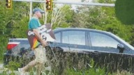 NH man violated civil rights law with theft of LGBTQ sign, AG says