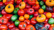 Do Tomatoes Really Taste Different During Winter?