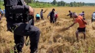 Paddy harvesting resumes in Lapangap after communal clash
