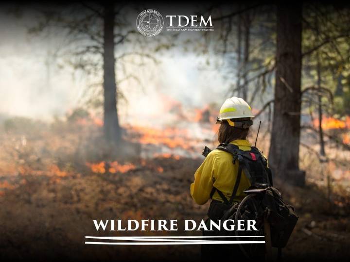 Texas Governor Activates Additional State Wildfire Resources, Updates Disaster Declaration Ahead Of Increased Fire Danger