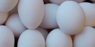 Eggs distributed in several states recalled over salmonella concerns