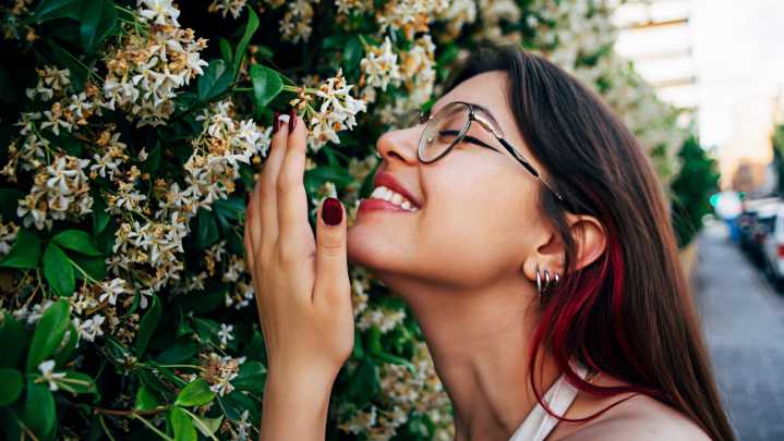 18 Plants That Can Cover Up Unpleasant Odors In Your Yard Or Garden