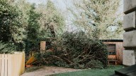 UK braces for Storm Amy: How to minimise damage to your home and garden
