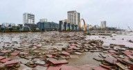 Typhoon Bualoi Death Toll Rises to in Vietnam, Thousands Displaced
