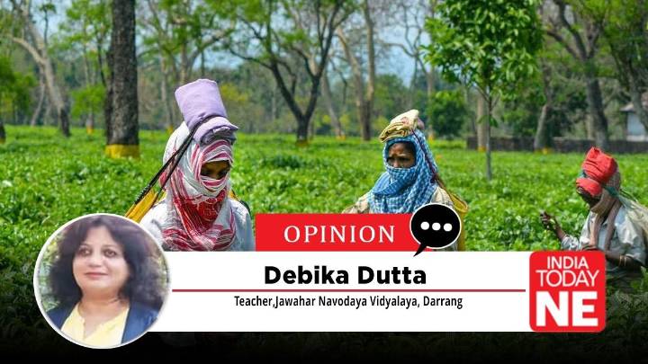 From Fields to Freedom: Assam’s Tea Workers Claim Their Land