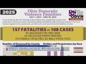 Domestic violence deaths hit new high in Ohio